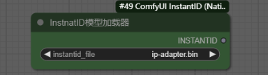 InstnatID模型加载器(InstantIDModelLoader)