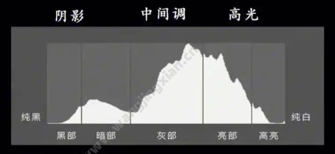 直方图、黑色、阴影、曝光、高光、白色、对比度